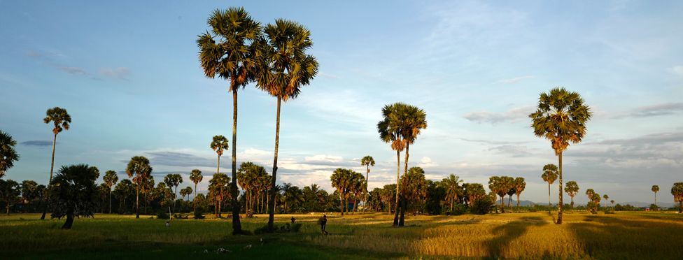 Cambodge - Kampot 